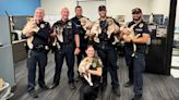 7 puppies found playing in the road in Cedar Park find homes