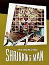 The Incredible Shrinking Man