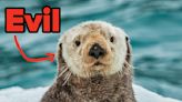 Otters Are Like, Super Evil — And 16 Other Unsettling Facts I Recently Learned About Otherwise Cute Animals