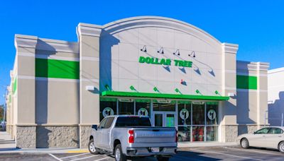 6 Summer Essentials To Buy at Dollar Tree To Save Money