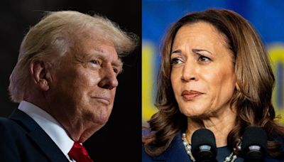 A key Obama-era strategist says Kamala Harris may be riding the hype wave, but it's still Trump's race to lose