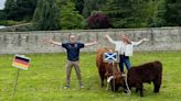Glasgow Highland cows predict a Scotland win against Germany
