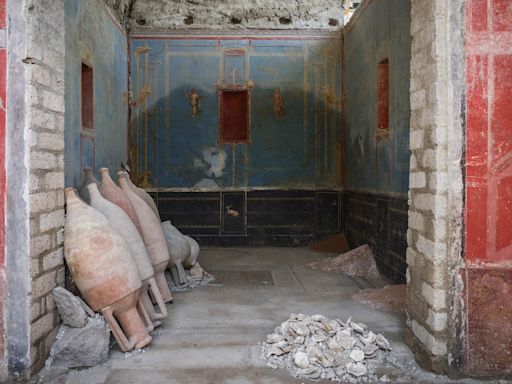 Pompeii excavation unveils rare 'blue room' believed to be an ancient shrine