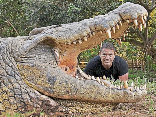 Steve Backshall: My most death-defying adventures