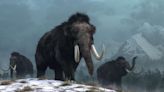 Dallas Biotech Firm Takes 'Significant Step' Toward Recreating Woolly Mammoth from Asian Elephant Stem Cells