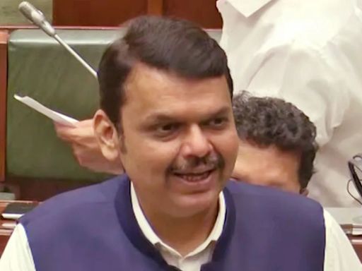 Devendra Fadnavis Tackles Opposition's "Udta Punjab" Jibe In Pune Porsche Crash