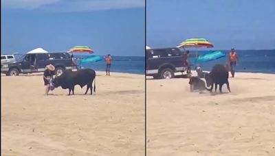 VIDEO: Toro embiste a una mujer en playa de Los Cabos, Baja California Sur