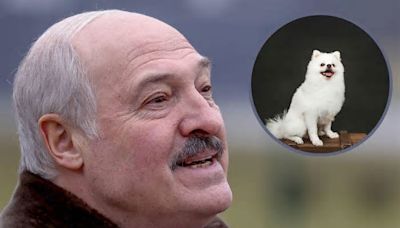 Lukashenko's Soft Spot: Belarus Leader's Bond with Fluffy Spitz