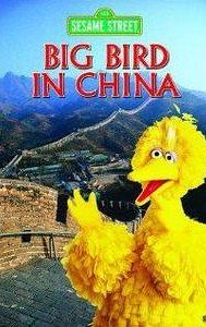 Big Bird in China