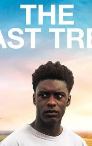 The Last Tree (film)