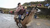 La llama de los Andes corre y lleva a los niños del páramo hacia las nubes