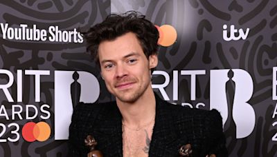 Harry Styles quiere convertirse en un boxeador 'de élite'