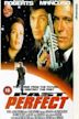 Past Perfect (1996 film)