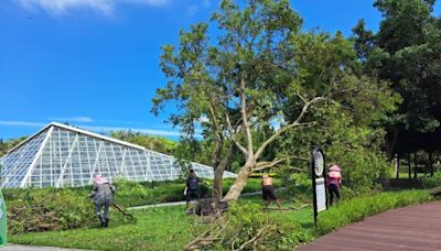 知卡宣親水公園7/31恢復開園 知你.知我-七夕市集活動8/3熱鬧登場 期待與您共度美好時光 | 蕃新聞