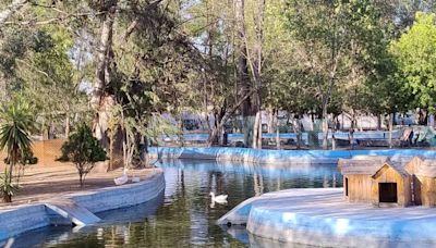 Un rincón centenario en San Luis Potosí; el parque de Morales llega a sus 100 años de vida