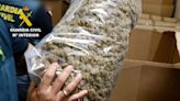 Police in Spain claim to have seized ‘largest ever’ cannabis stash following drugs raids