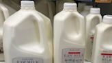 Bird flu outbreak in dairy cows fails to deter US raw milk sellers