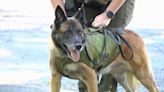 Sheriff's office raising money for protective vests for K9 officers