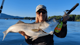 Catch Striped Bass Now in the Shallows at Smith Mountain Lake