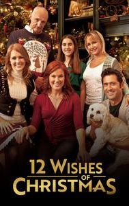 12 Wishes of Christmas