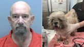 Fla. Man Arrested After Allegedly Dumping Dog in Trash Behind Store