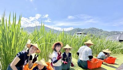 埔里農會茭點女神系列推廣活動 茭你選好筍食農教育體驗 | 蕃新聞