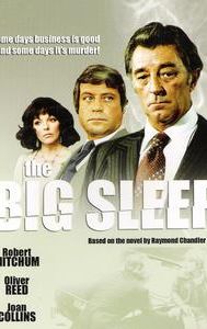 The Big Sleep