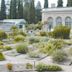 jardin des plantes de Montpellier