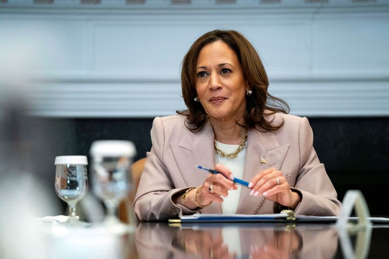 VP Harris visits Florida as abortion ban limits women's options