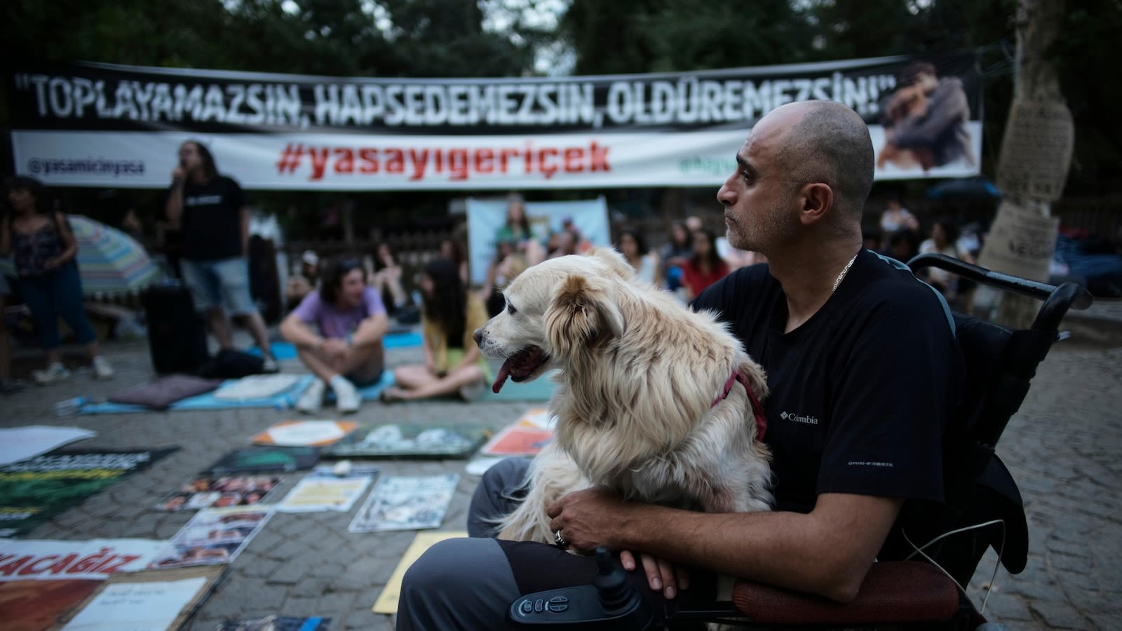 Turkey plans to regulate a large stray dog population, raising some fears about mass killings