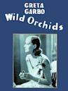 Wild Orchids (film)