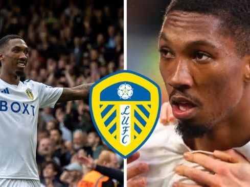 Leeds United: Forward has no future at Elland Road: View