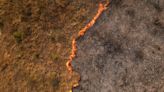 'Breathing smoke': Brazil's Pantanal wetlands hit by record fires