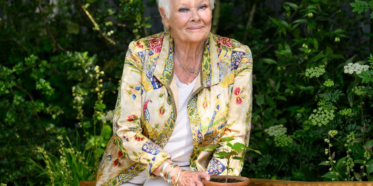 Judi Dench Hints At Retirement Due To Worsening Vision