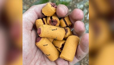 Fish hooks found in dog treats strewn on Pennsylvania section of Appalachian Trail