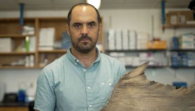 A third of sharks are threatened with extinction. Here’s what one man is doing to help | CNN