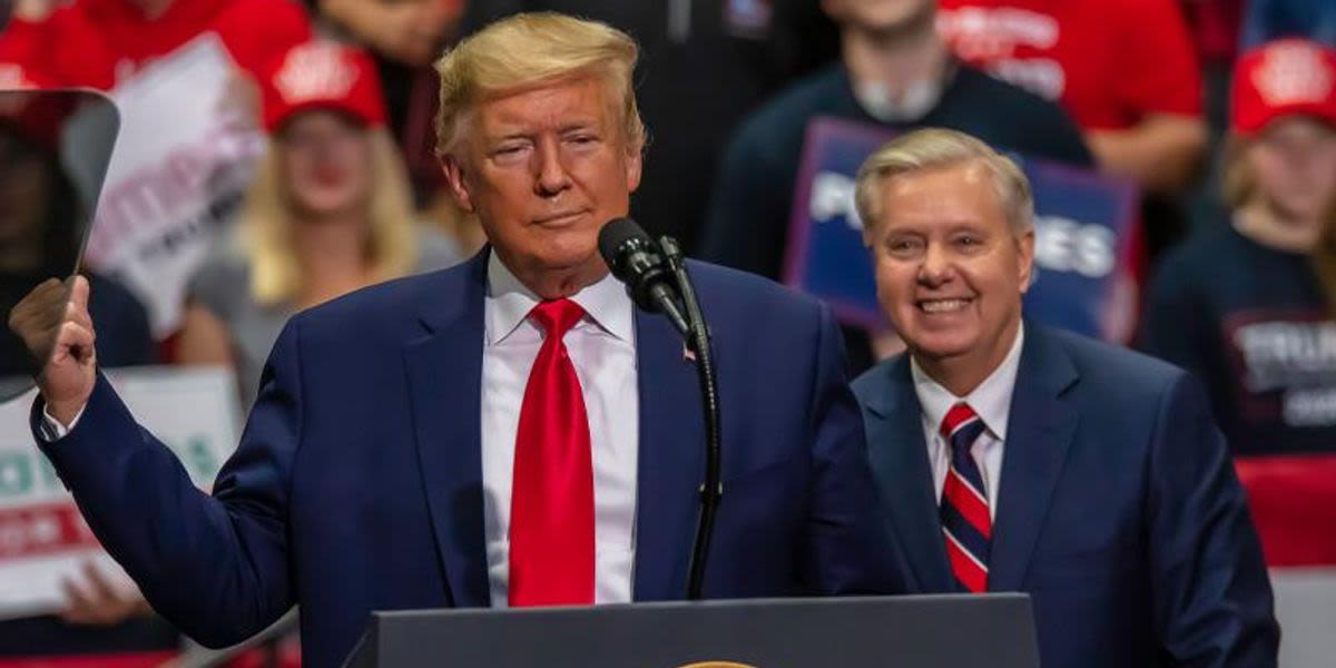 'You have zero dignity!' Lindsey Graham roasted for gushing praise of birthday boy Trump