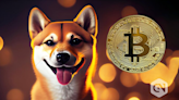 Lucie analyzes SHIB and BTC's decentralized impact on finance