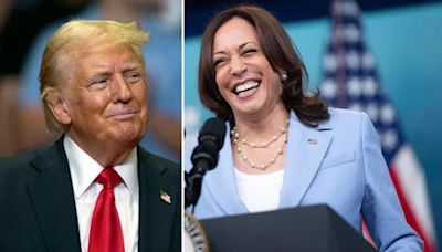 Kamala Harris, Donald Trump race to redefine each other