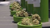Medical marijuana sales top $1 billion in Arkansas 5 years after state’s first dispensary opened