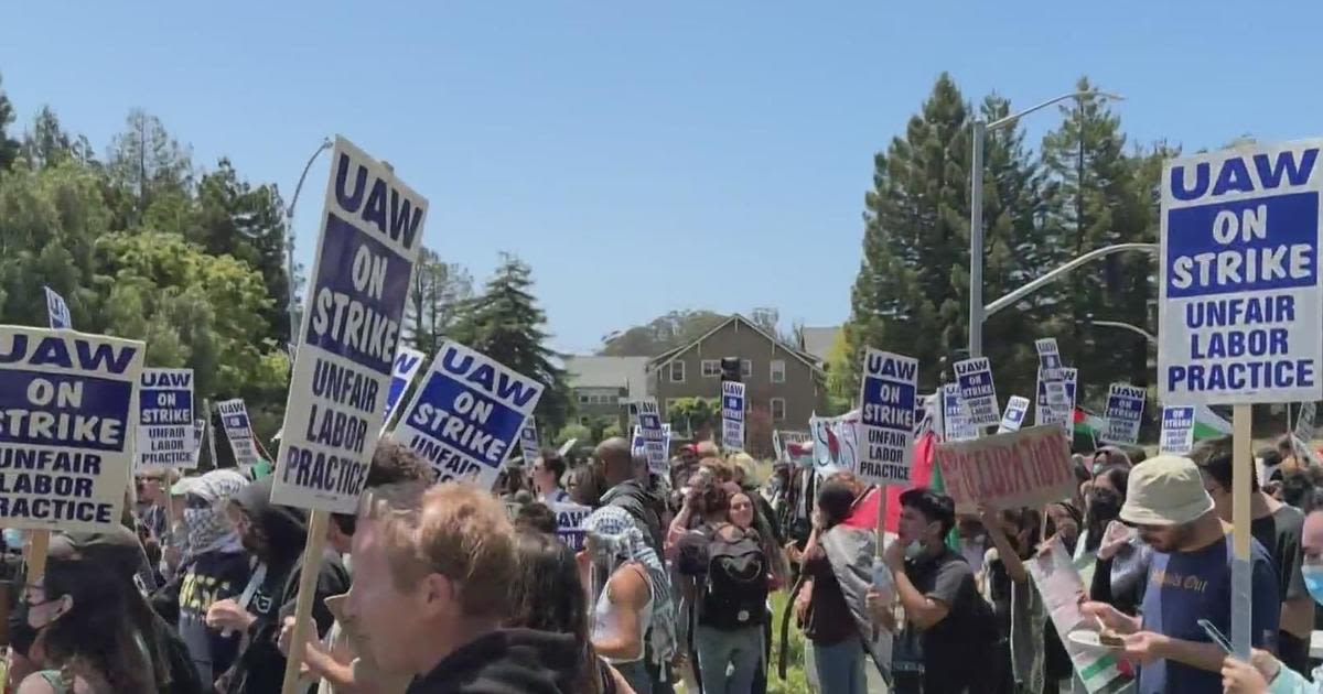 UC Santa Cruz academic workers strike to stand up for pro-Palestinian protesters