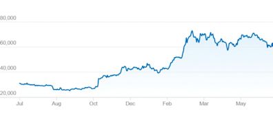 Bull of the Day: Block (SQ)