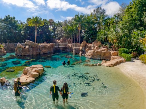 Teen dies from accidental drowning at Discovery Cove in Orlando, officials say