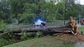 Videos, photos show destruction after tornadoes, severe storms pummel Tennessee, Carolinas