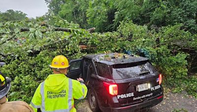 Officer injured after tree falls on patrol car in Tennessee