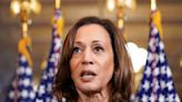 Kamala Harris shifts tone on Gaza, but advocates say US voters want more