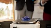 Hillsboro Museum home to Guinness World Record-winning tanzanite gem