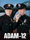 Adam-12