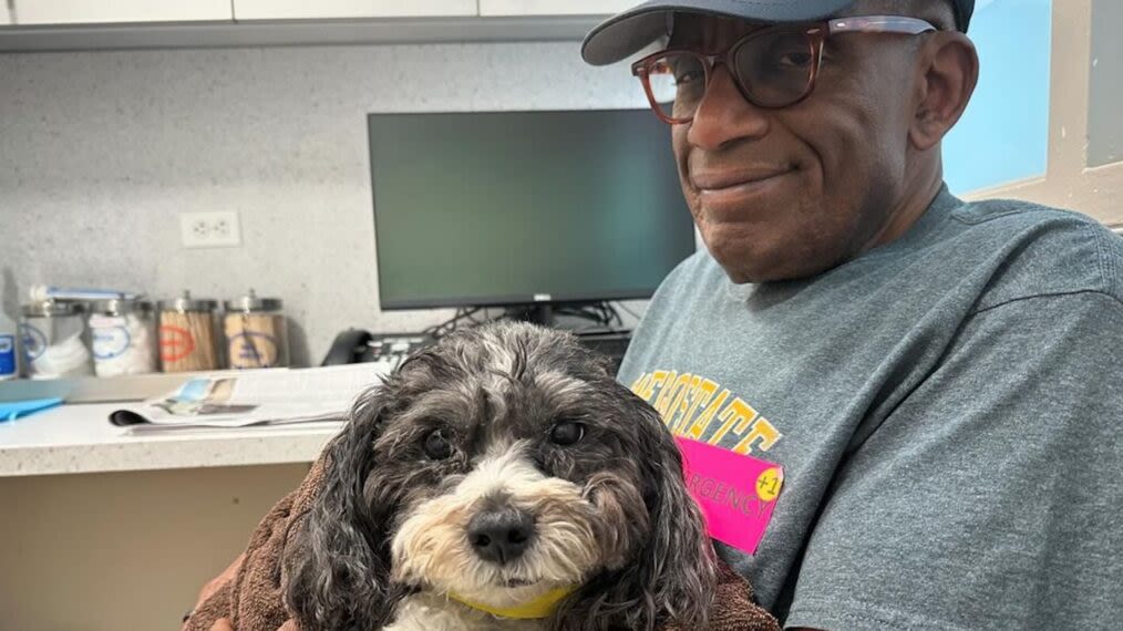 Al Roker Misses 'Today' Show as His Dog Undergoes Emergency Surgery