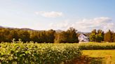 This 19th-Century Farmhouse In Pickens, South Carolina, Is Almost Heaven